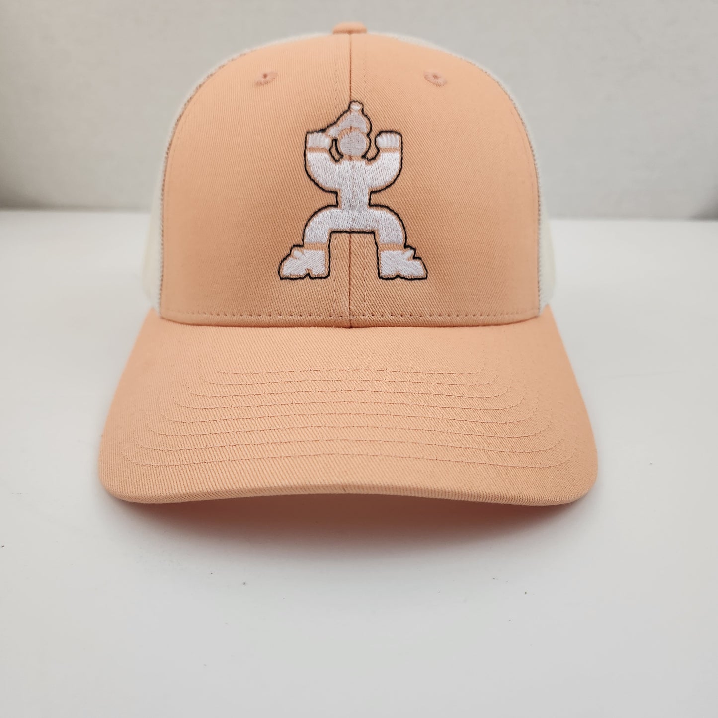 inAme logo trucka snapback