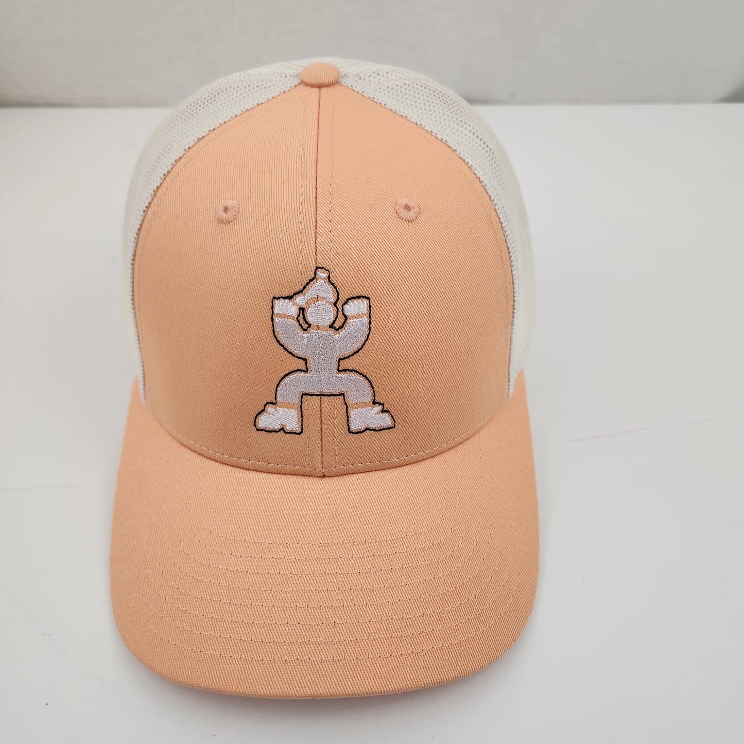 inAme logo trucka snapback