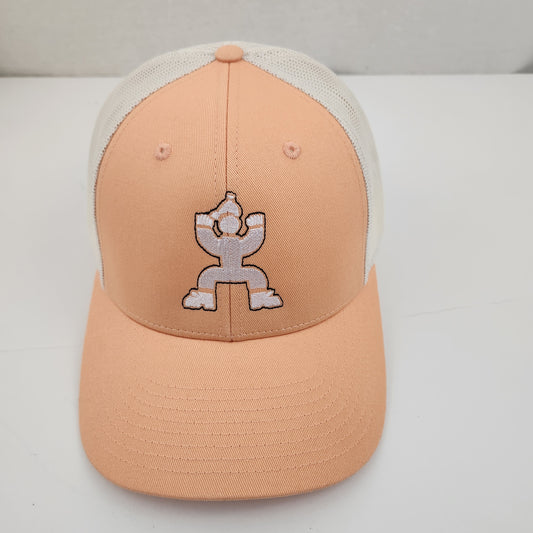 inAme logo trucka snapback