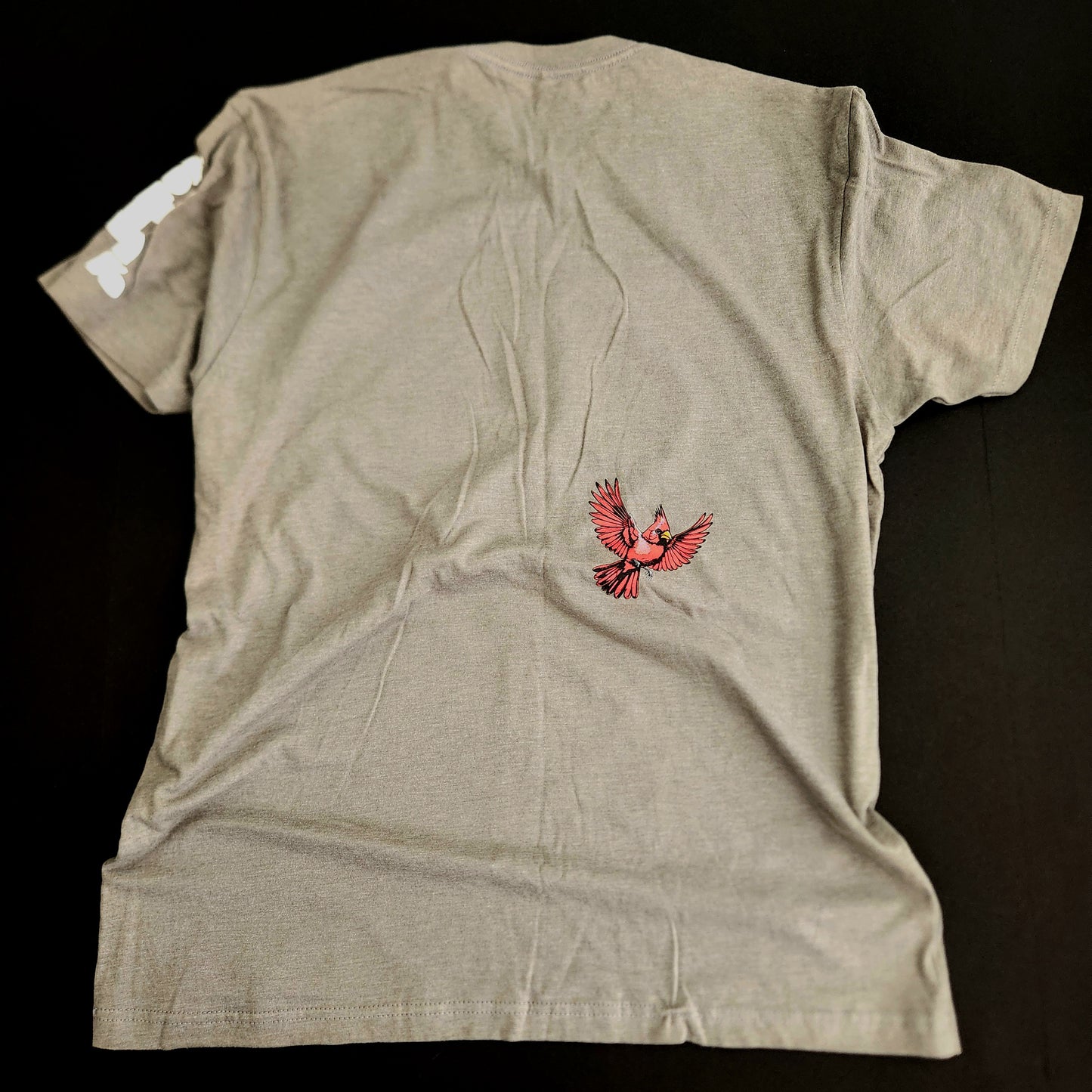 inAme 704 state t