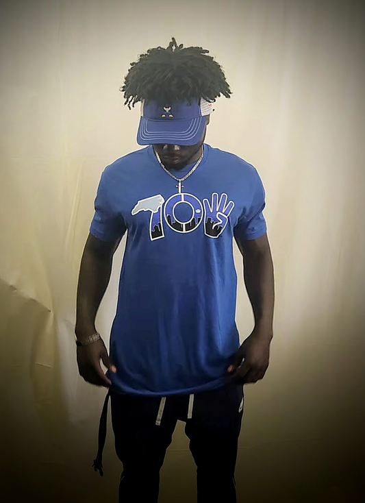 inAme 704 skyline t